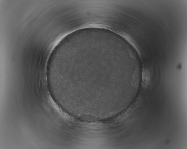 X0000116120972200912211650