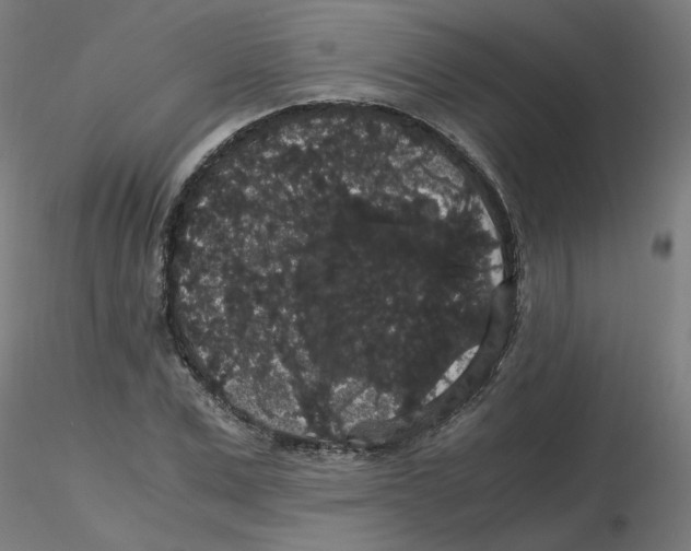 X0000116120975200912211650