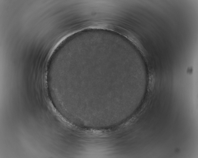 X0000116120976200912211650