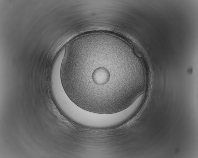 X0000116120977200912211650