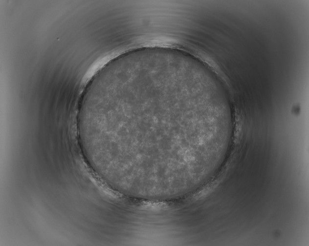 X0000116120978200912211650