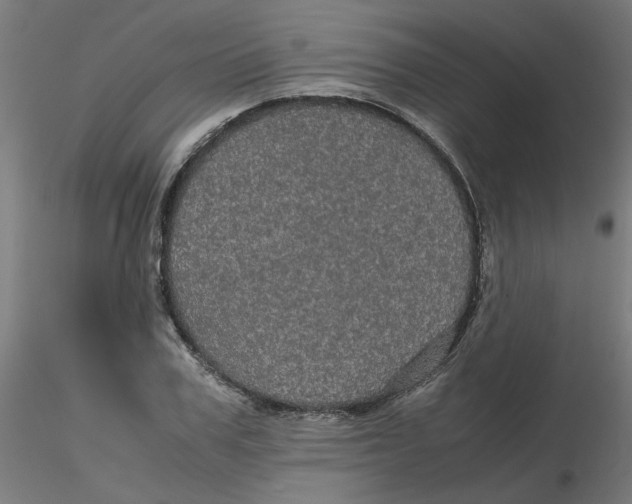 X0000116120979200912211650