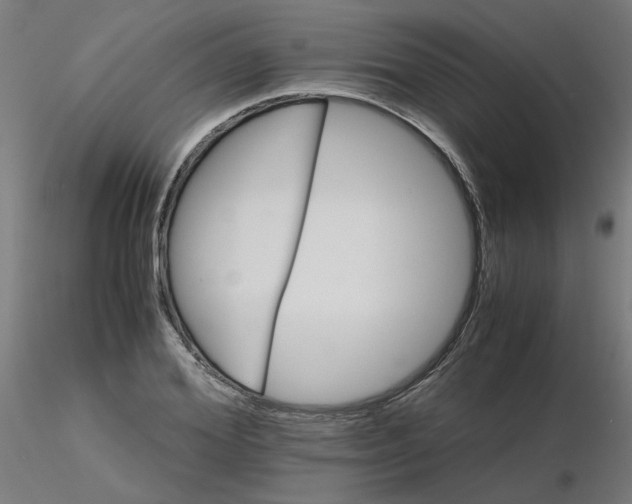 X0000116120980200912211650