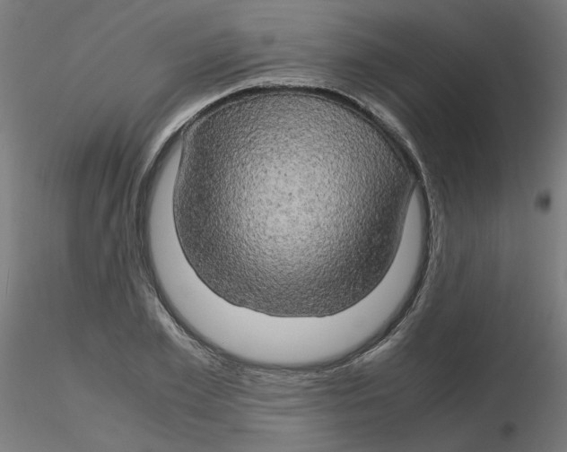X0000116120981200912211650