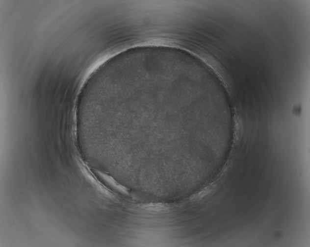 X0000116120982200912211650
