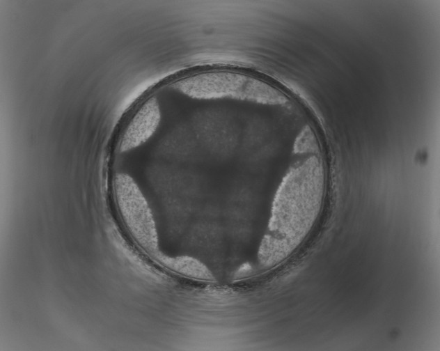 X0000116120983200912211650