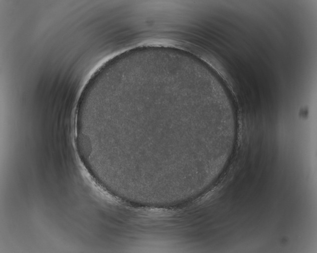 X0000116120984200912211650