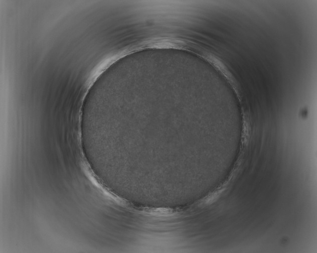 X0000116120986200912211650