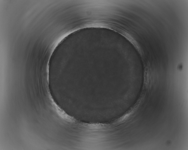 X0000116120988200912211650
