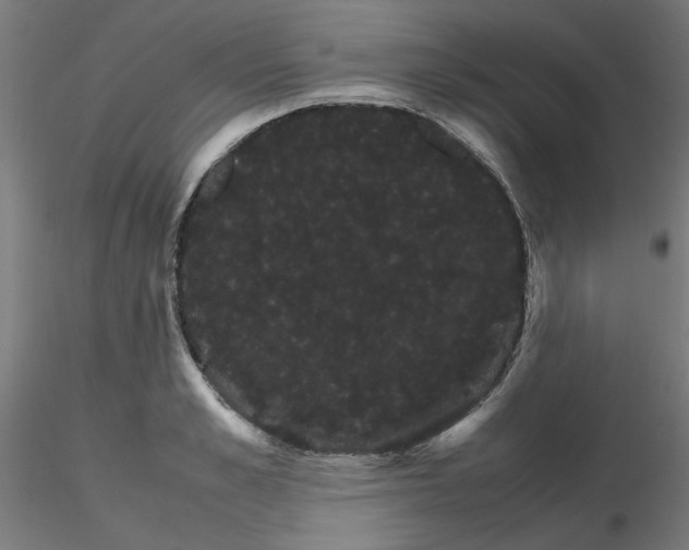 X0000116120989200912211650