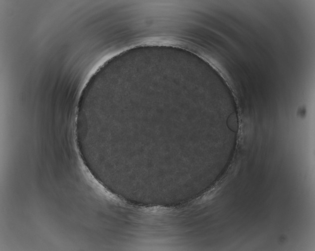 X0000116120992200912211650