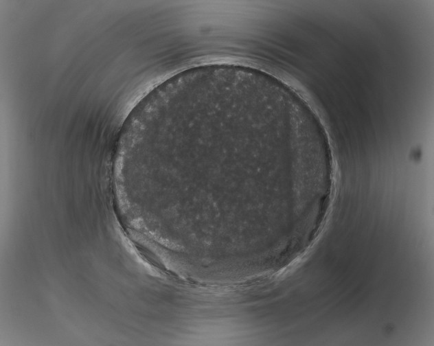 X0000116120993200912211650