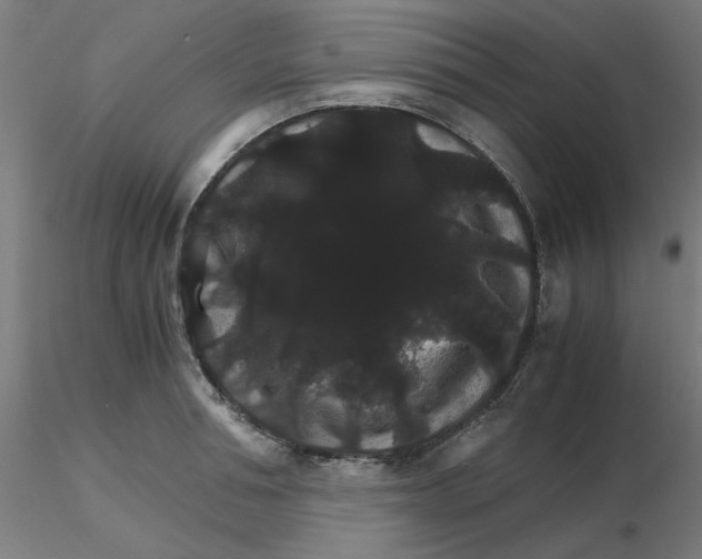 X0000116120994200912211650