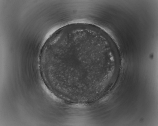 X0000116120998200912211650