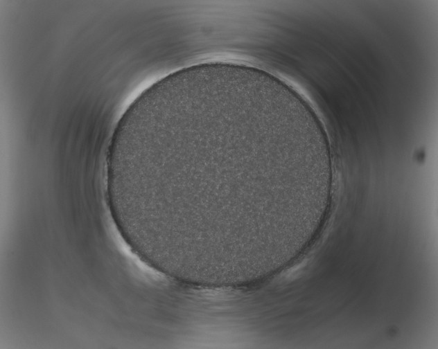 X0000116120999200912211650