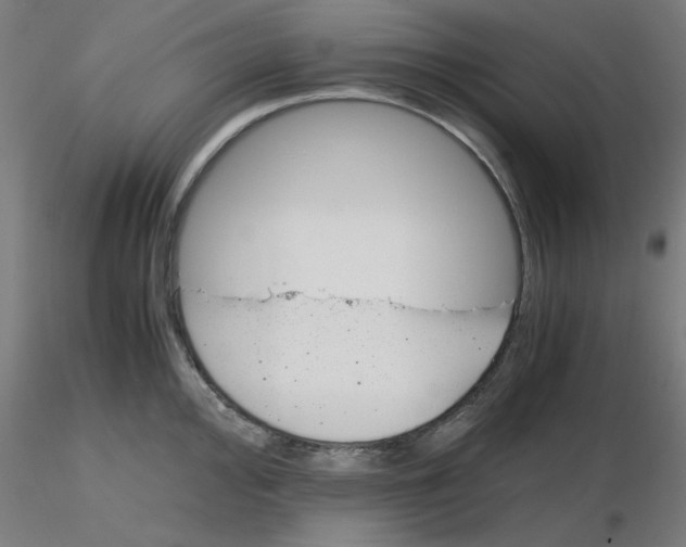 X0000116121000200912211650