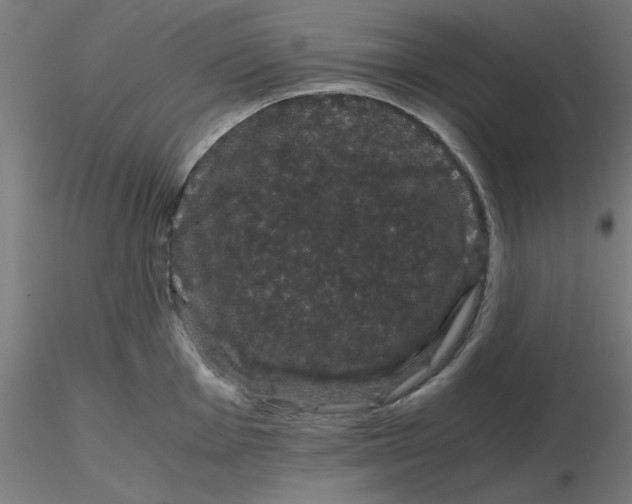 X0000116121001200912211650