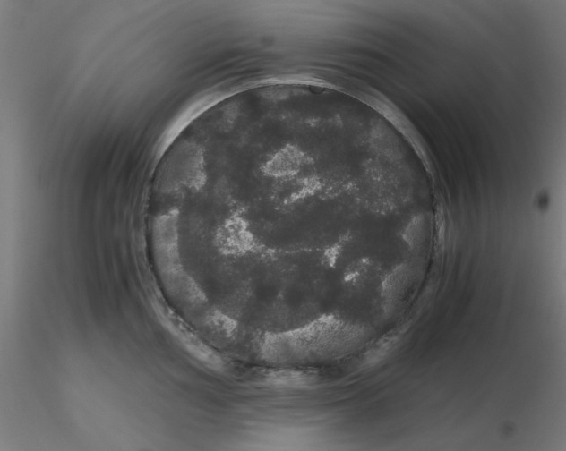 X0000116121002200912211650