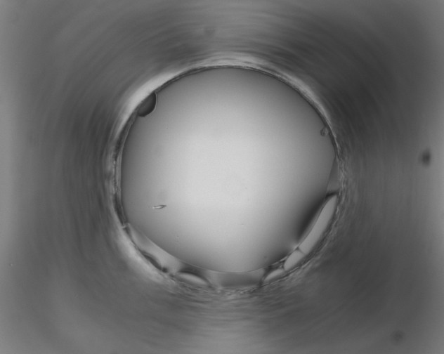 X0000116121003200912211650
