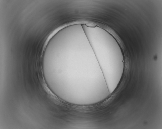 X0000116121004200912211650