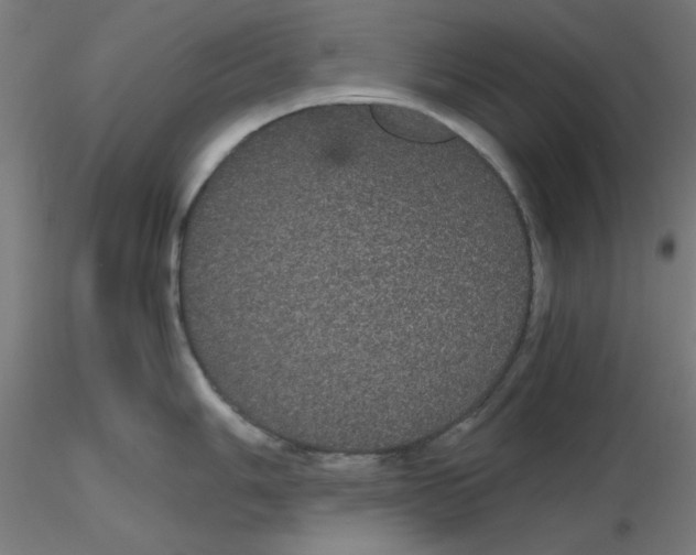 X0000116121006200912211650