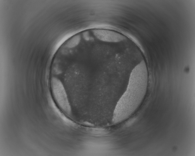 X0000116121007200912211650