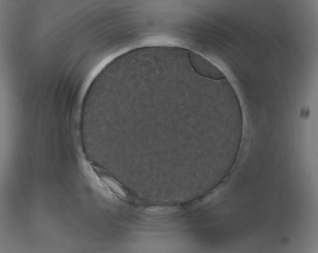 X0000116121008200912211650