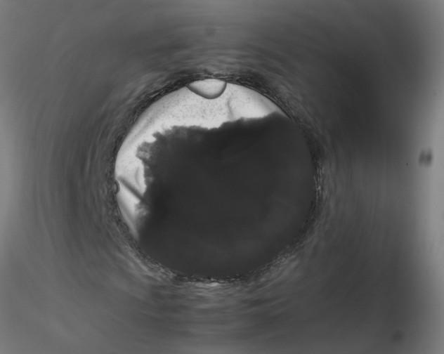 X0000116121009200912211649