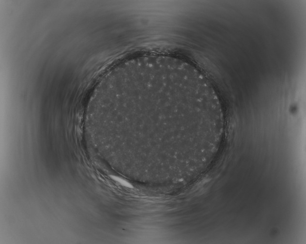 X0000116121010200912211649