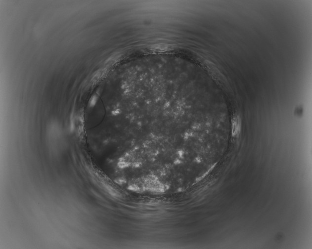 X0000116121011200912211649