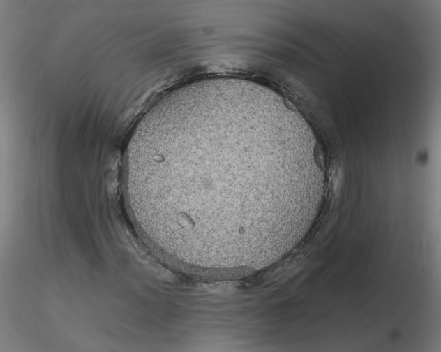 X0000116121012200912211649