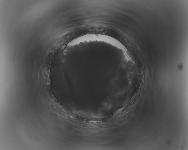 X0000116121013200912211649