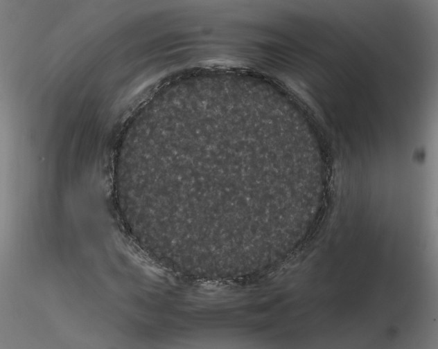 X0000116121015200912211649