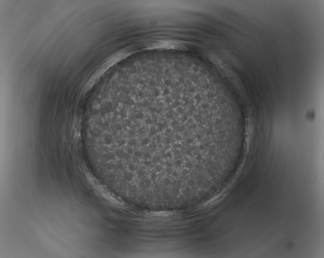 X0000116121017200912211649