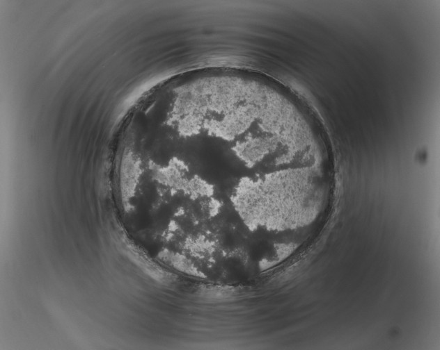 X0000116121019200912211649