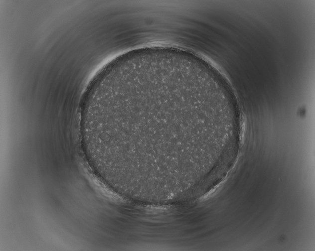 X0000116121021200912211649