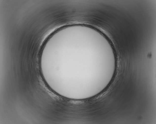 X0000116121023200912211649
