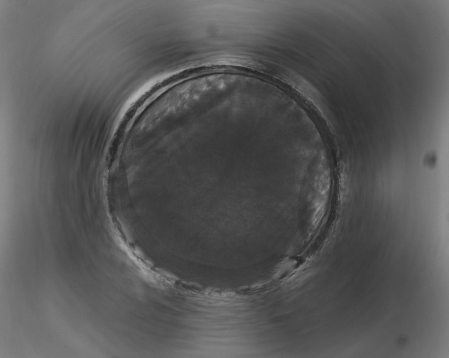 X0000116121024200912211649