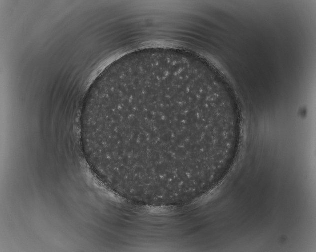 X0000116121025200912211649