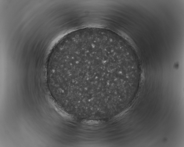 X0000116121027200912211649