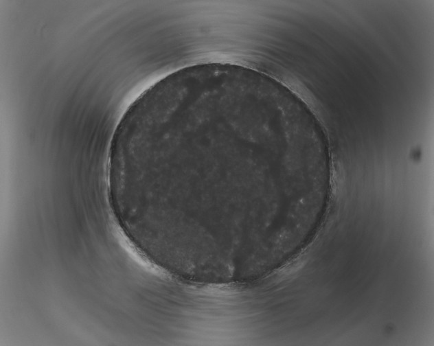 X0000116121028200912211649