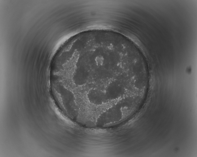 X0000116121030200912211649