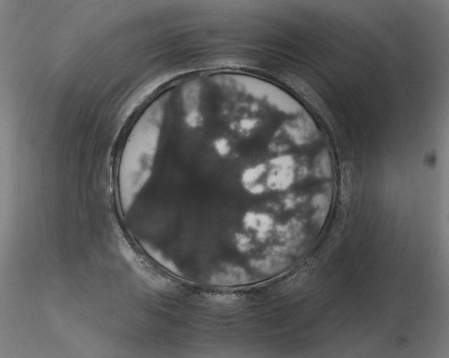 X0000116121031200912211649