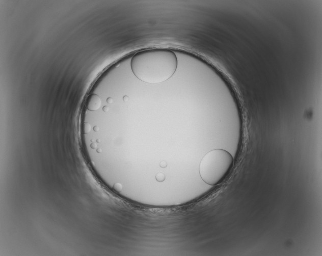 X0000116121032200912211649