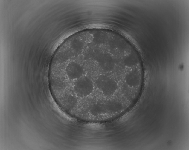 X0000116121033200912211649