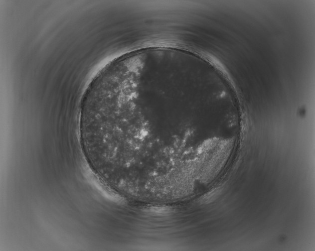 X0000116121035200912211649