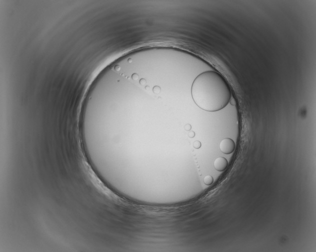 X0000116121036200912211649