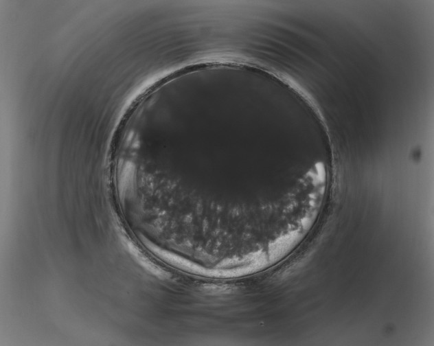 X0000116121037200912211650