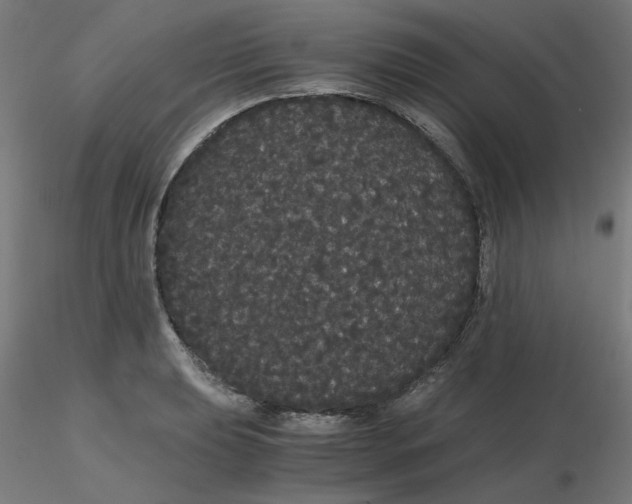 X0000116121039200912211650