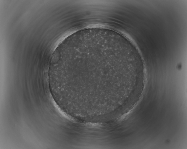 X0000116121041200912211650